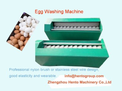 Fully Automated Egg Processing Machinery Lines